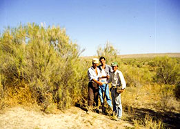 Bereke-natural-vegetation-thumb