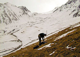 Meadow-alpine-landscape-thumb